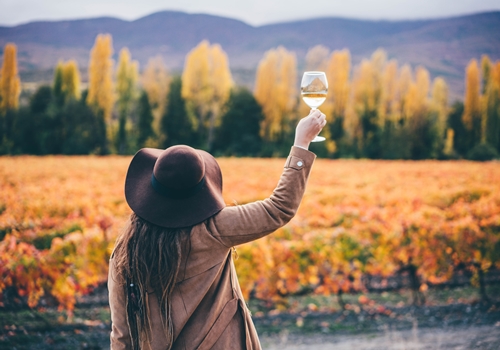 Autumn Wine Tour